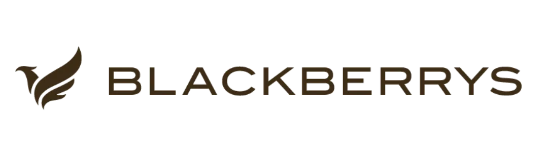  Abhishek Sharma  company logo